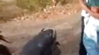 XXX sex video HD of a teen couple having fun outdoors after college