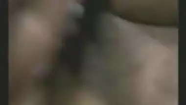 Doggy on Webcam